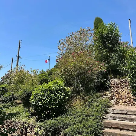 Charming 22m2 With Terrace In Saint-raphael Apartment